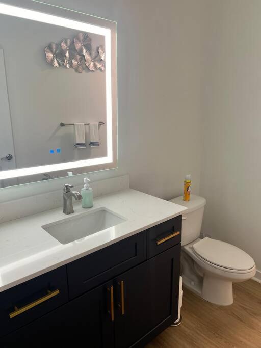 Apartment Uptown Luxury Near It All Charlotte