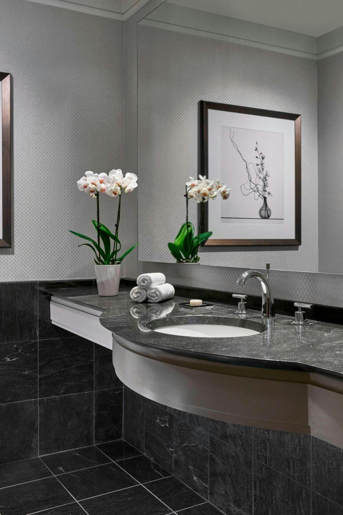 Hotel The Ritz-carlton,