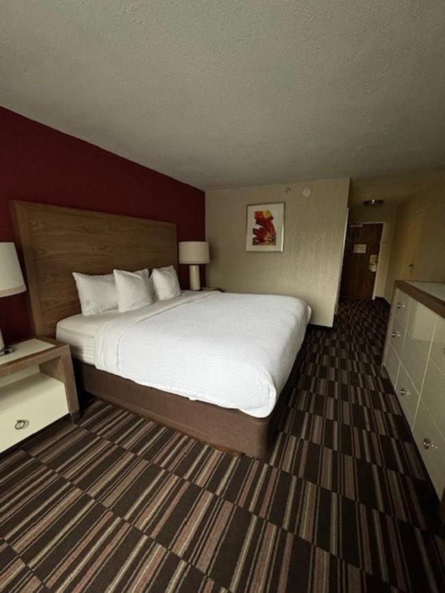 Hotel Ramada Plaza By Wyndham South End Airport