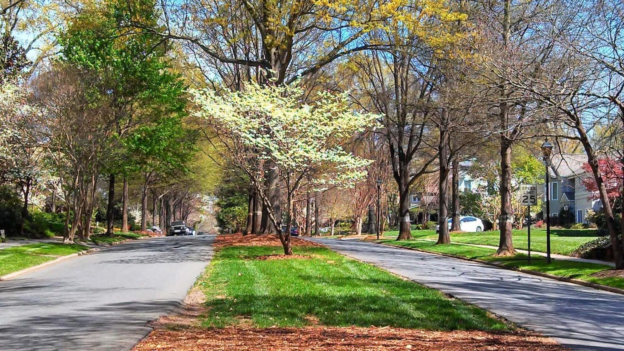 Modern 1br In The Heart Of Clt