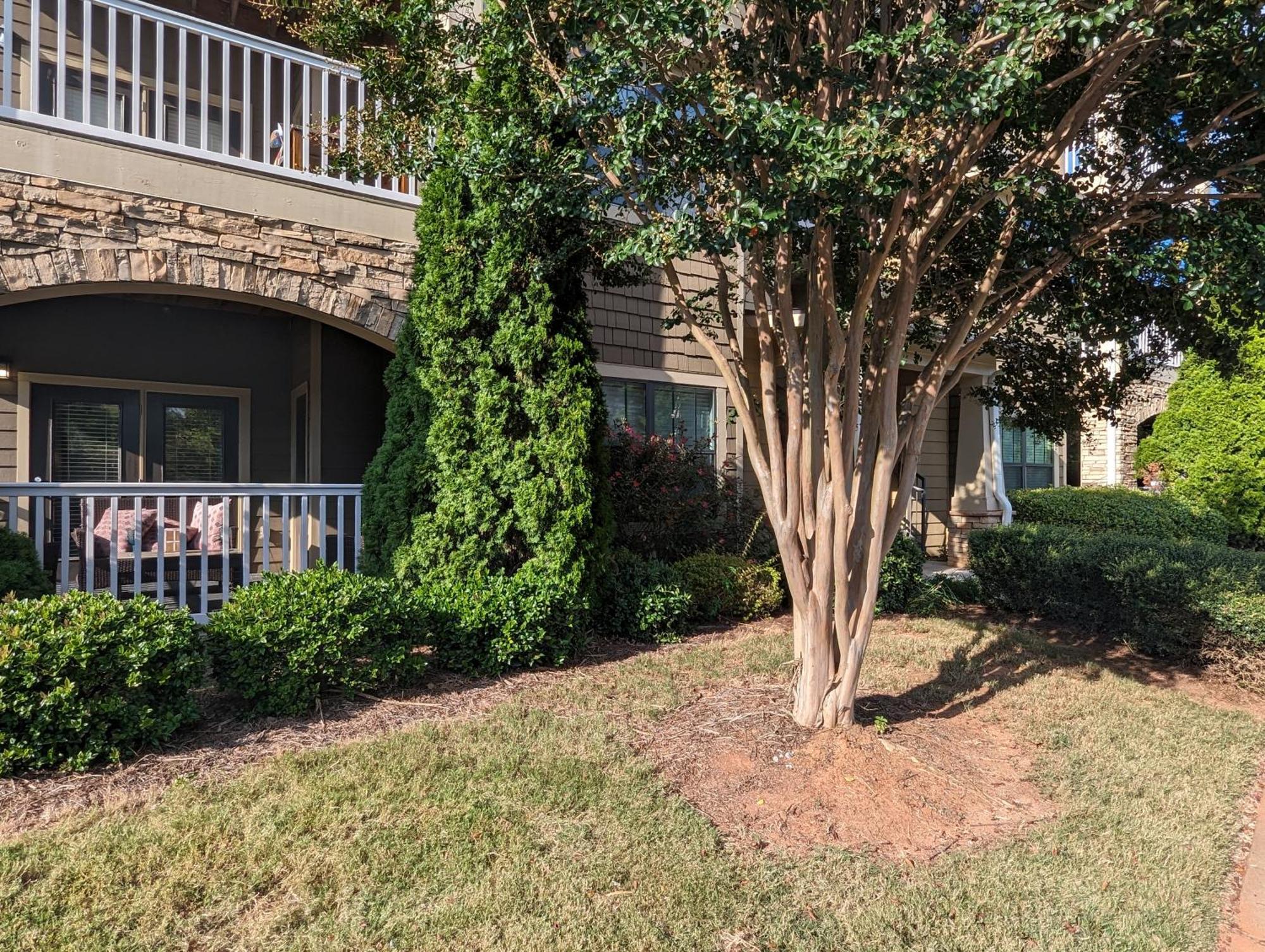 Apartment Two Couple Up - Adults Only! Instant Let's Play Charlotte