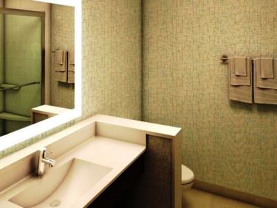 Express & - Ballantyne By Ihg Hotel 3*