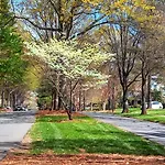 Chic And Relaxing 1Br In The Heart Of Myers Park