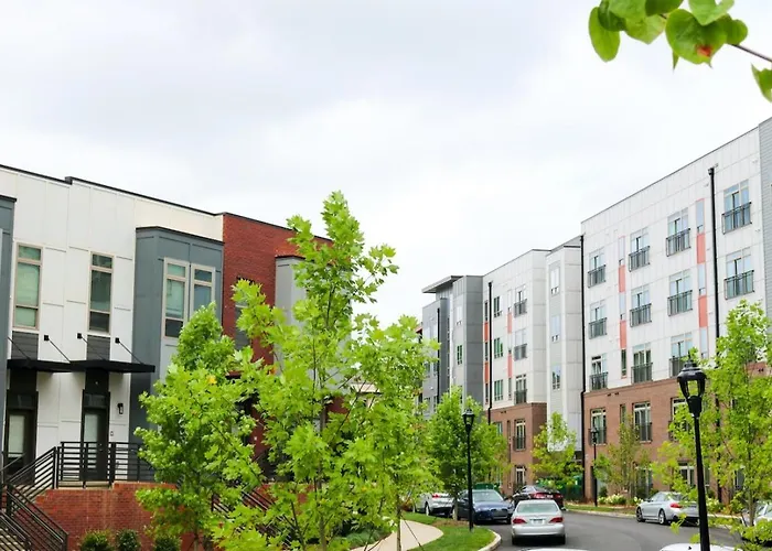 Modern 1Bd Studio Apt In Plaza Midwood With Community Pool
