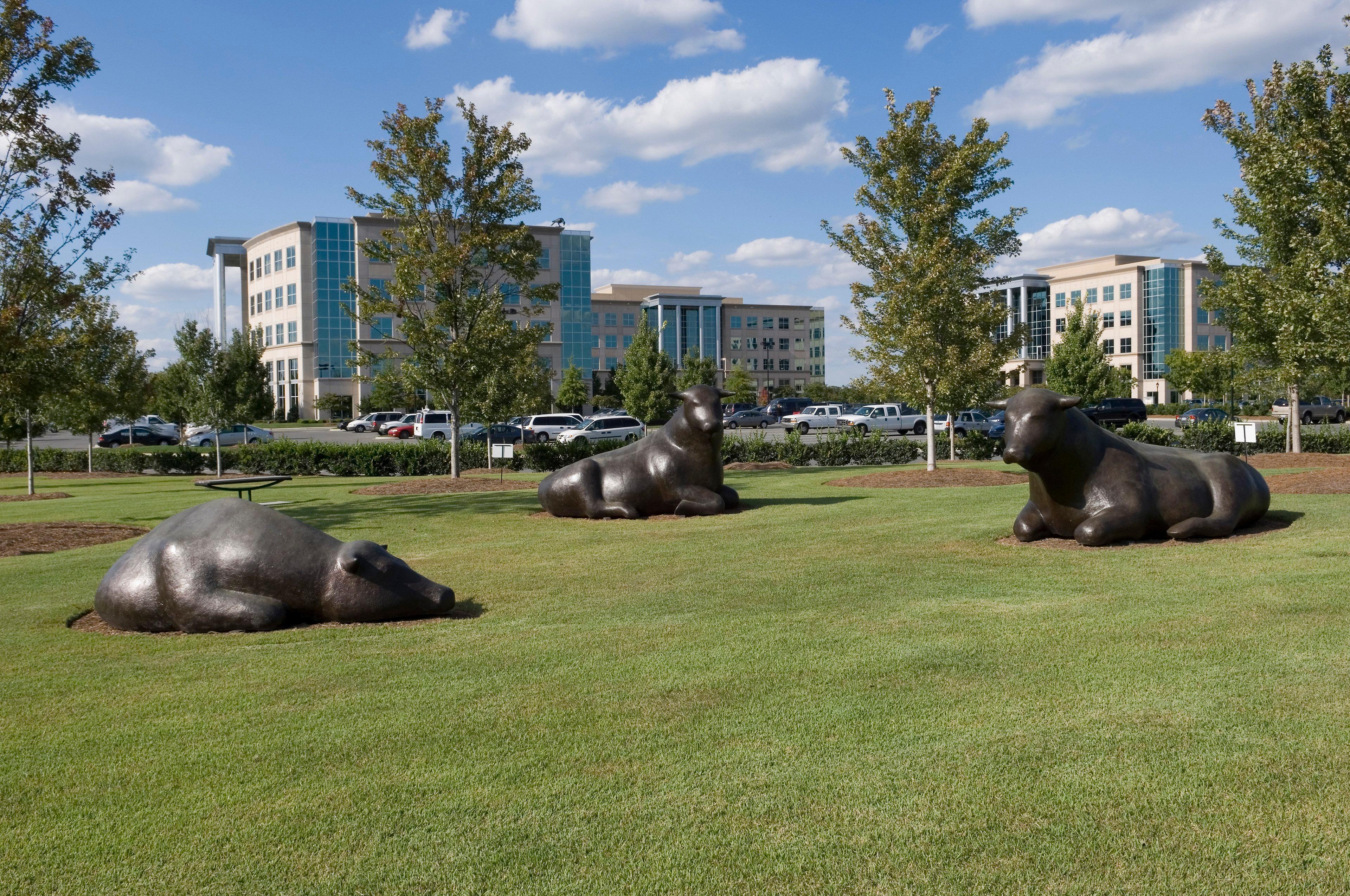 Hotel Staybridge - Ballantyne By Ihg 3*