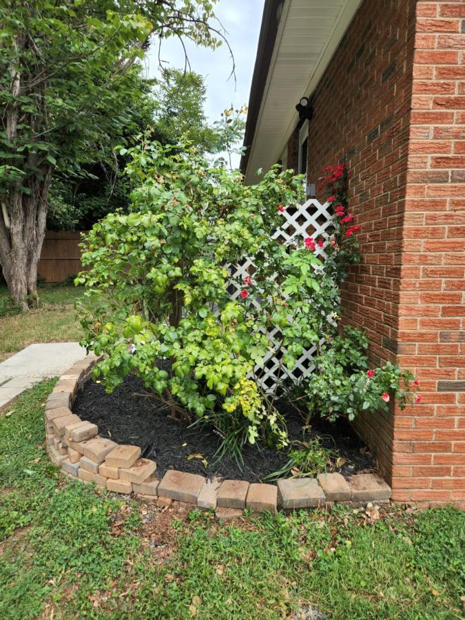 2br 1ba Duplex House King Beds Great For Small Groups Close To Uptown Attractions Apartment Charlotte