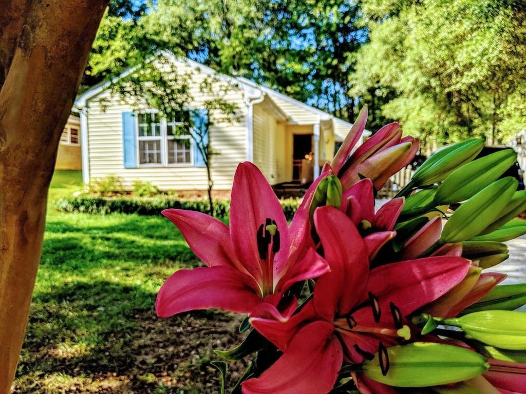 Rare Downtown Matthews Walk 2 Shops Restauraunts Hike Clt 2 Bedroom Not 3br Charlotte