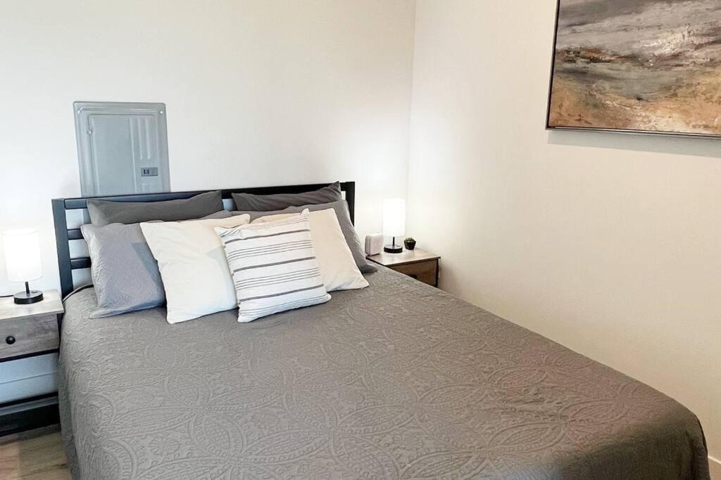 Apartment, Queen Bed, Wifi, Kitchen, Washer & Dryer In Apartment Charlotte