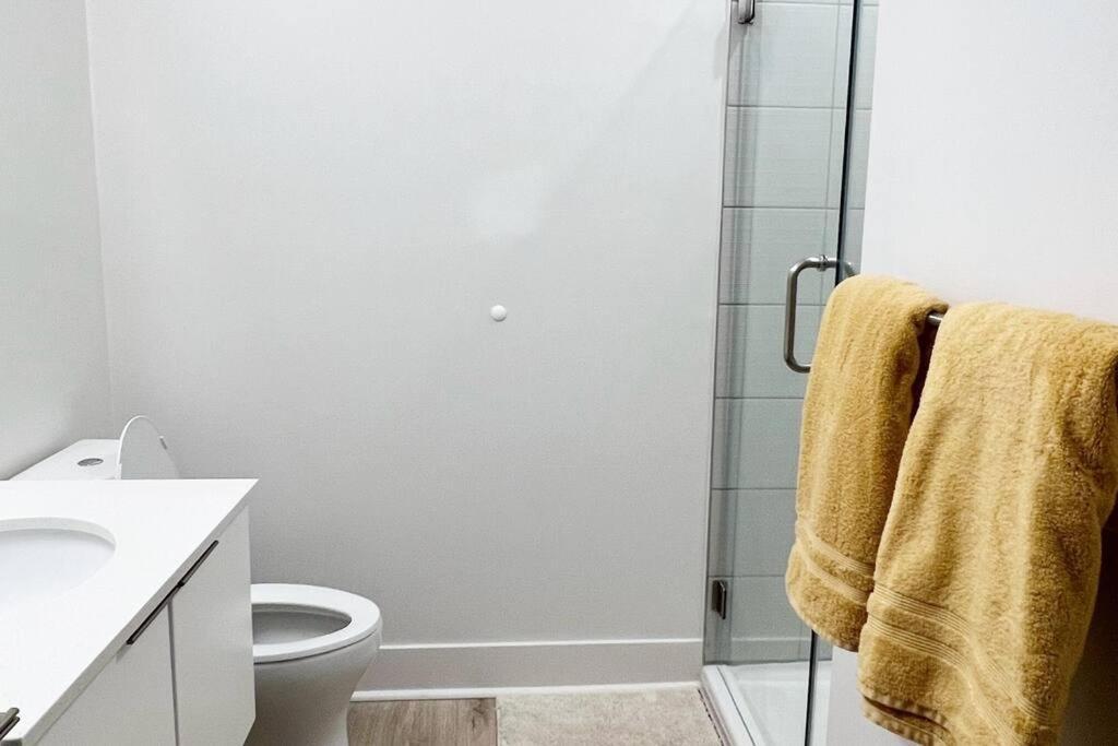 Apartment, Queen Bed, Wifi, Kitchen, Washer & Dryer In Apartment Charlotte