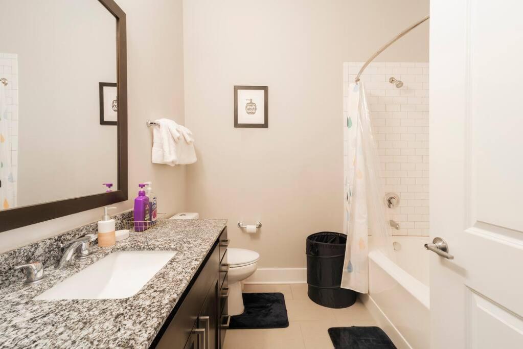 Apartment Queen Bed In Dilworth ◈ Shopping ◈ Restaurants Charlotte