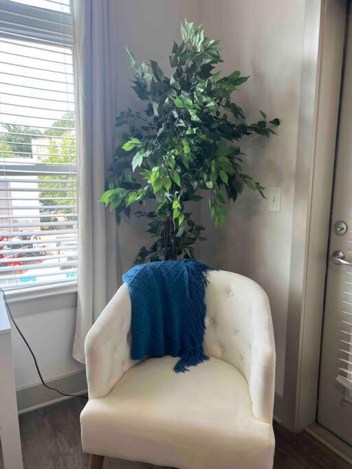 Spacious Luxury 2 Bedroom-2 Bath In Uptown With Balcony -80 Apartment *