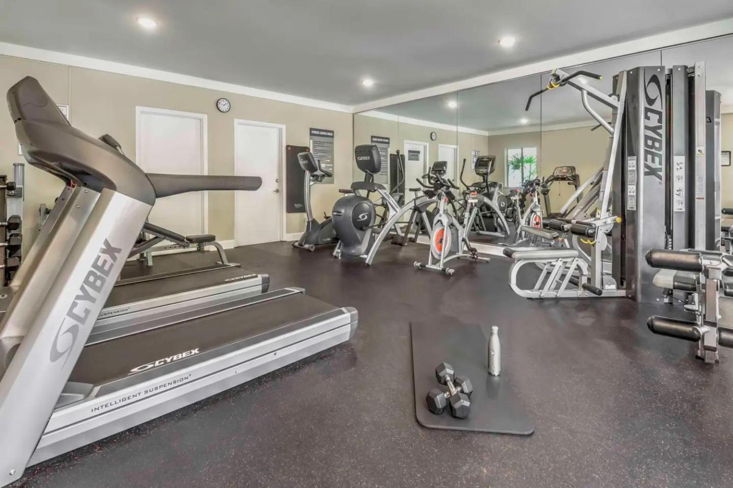 Apartment Spacious And Serene 1bedroom