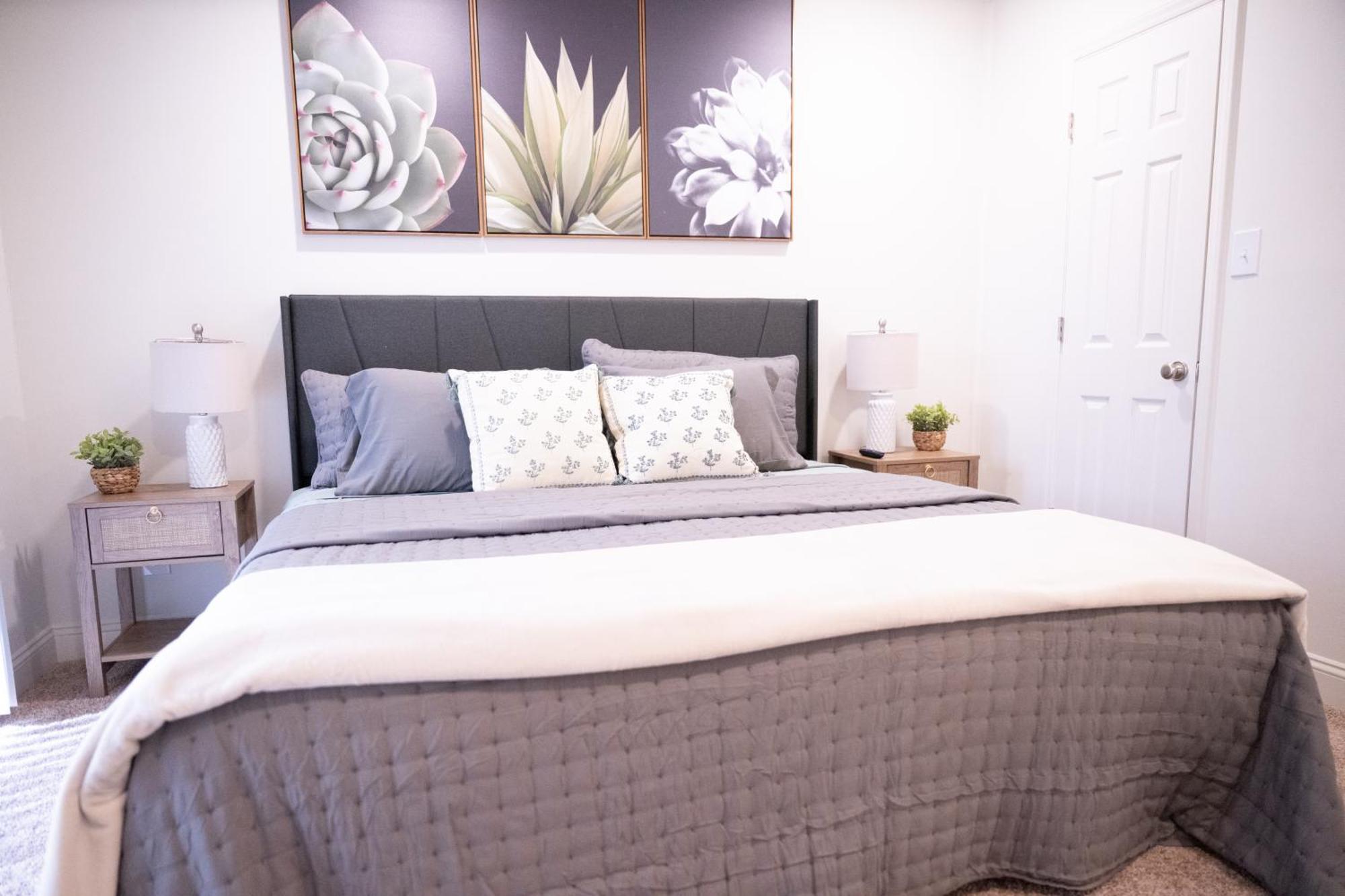 Spacious And Serene 1bedroom Apartment Charlotte
