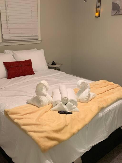 Apartment Good Vibe In The Heart Of Plaza/midwood Area