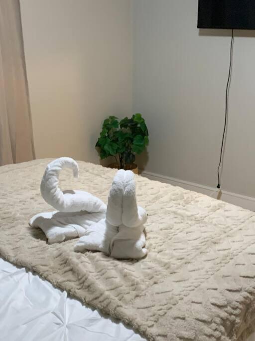 Apartment Be Our Guest Boho 2.0
