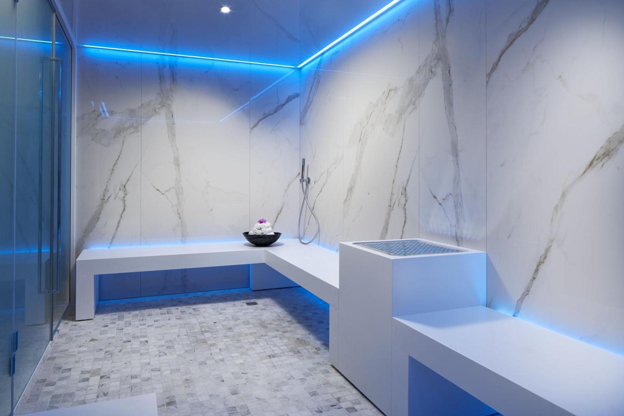 Hotel The Ritz-carlton,