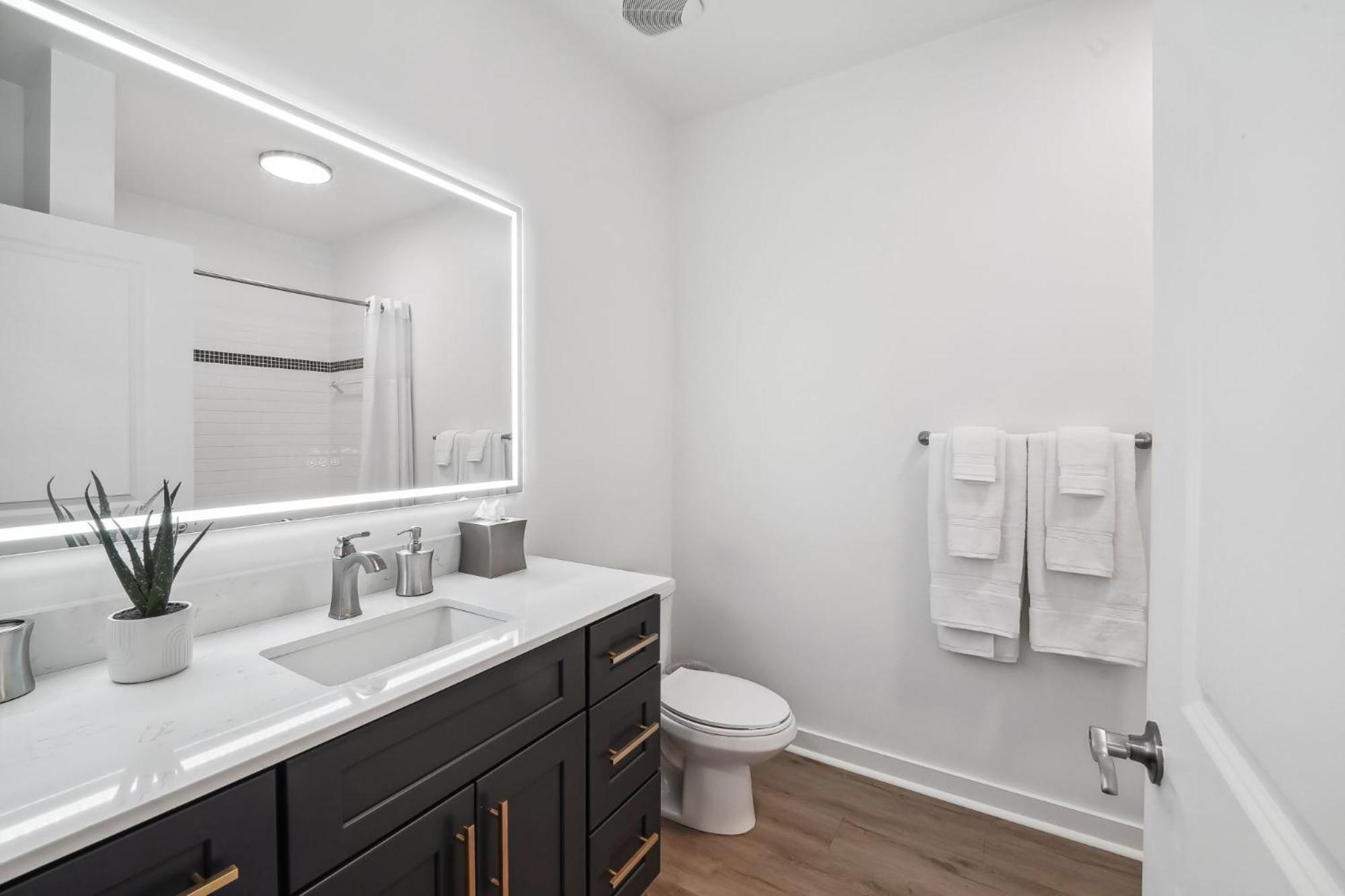 Apartment Premium And At Midtown 205 In Charlotte