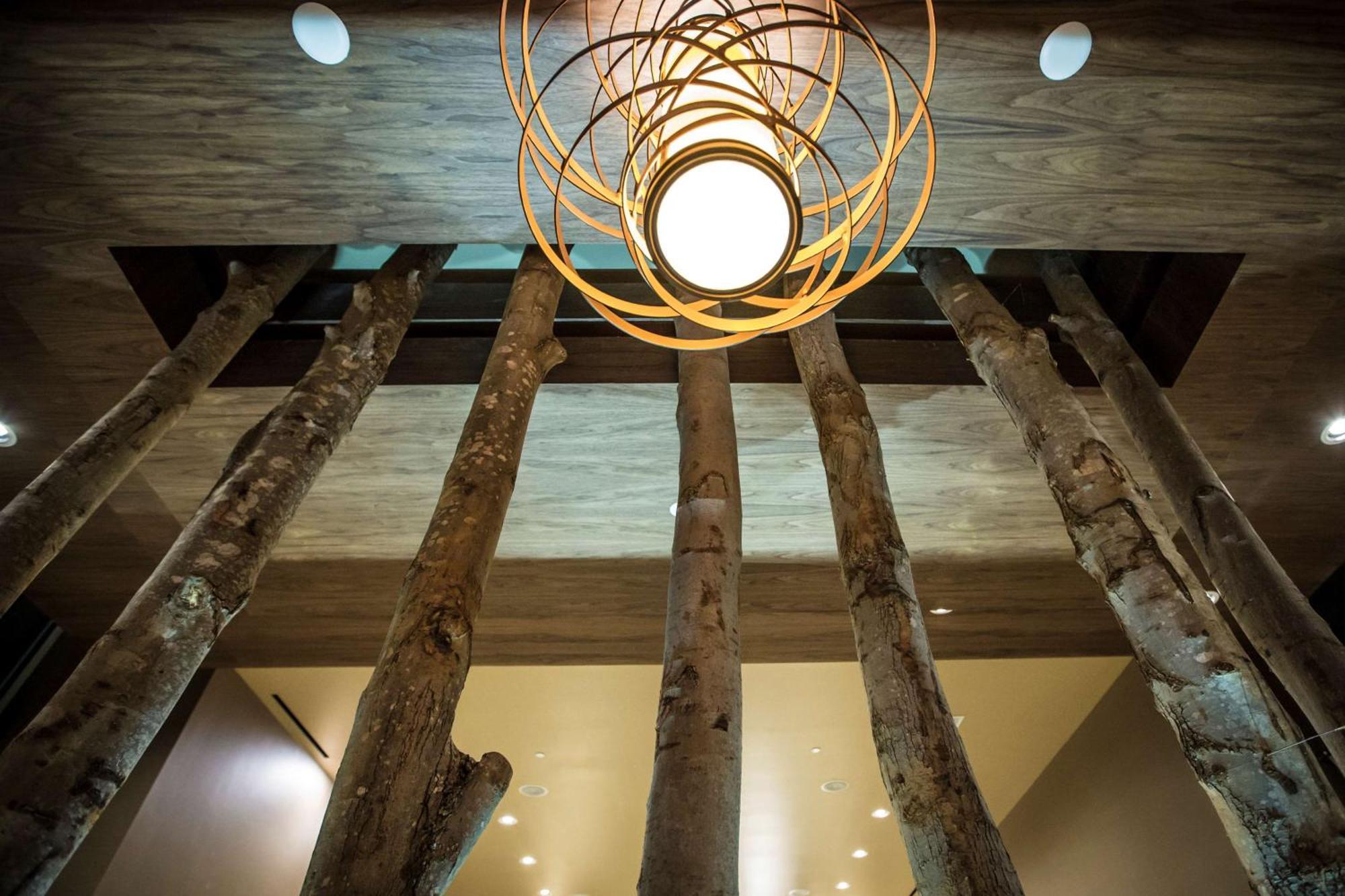 Hotel Homewood By Hilton Ballantyne, Nc