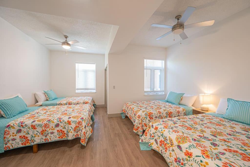 Regal Living Apartment Charlotte