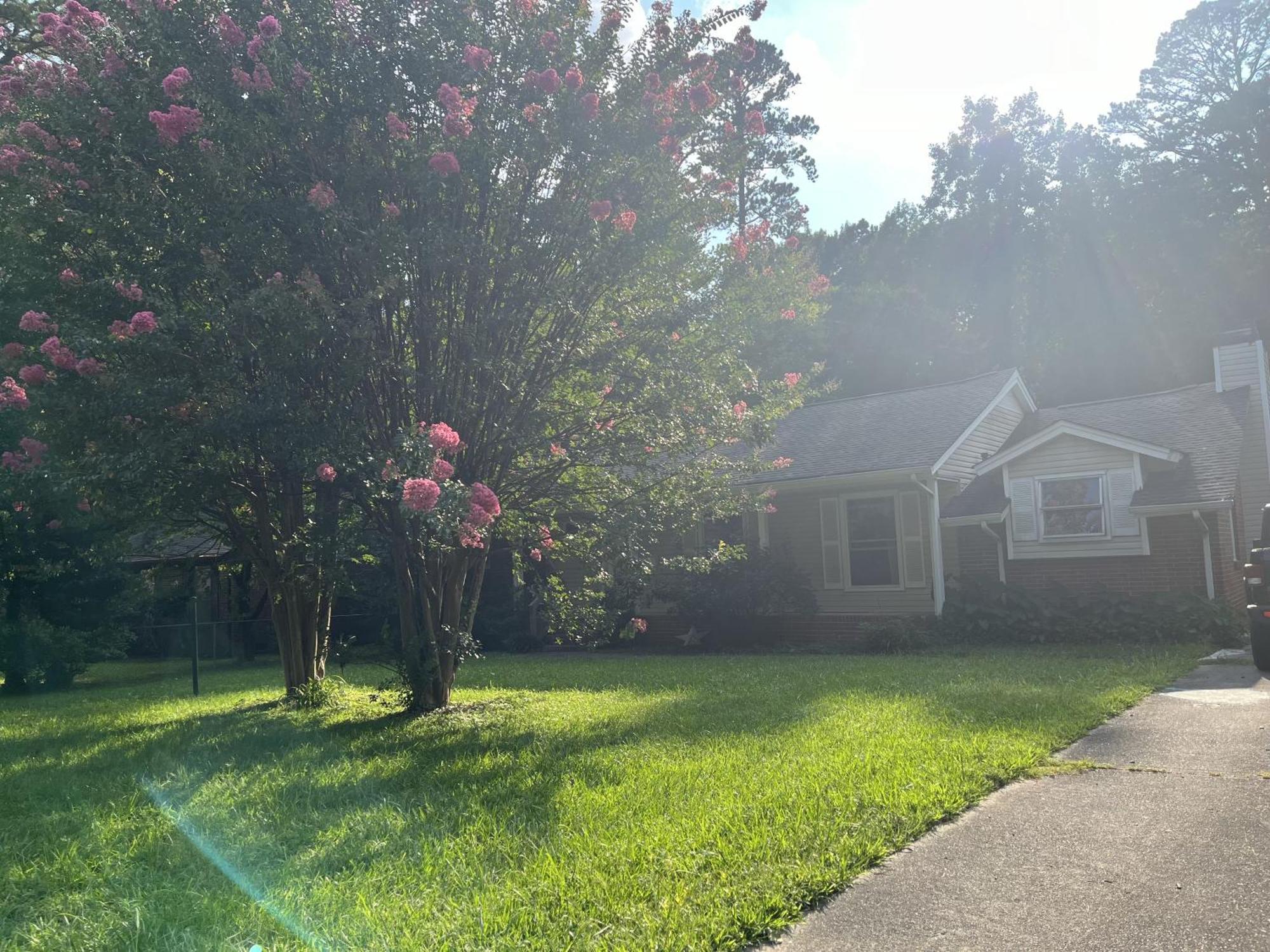 Holiday home Charming Mid-century Modern In Shannon Park *