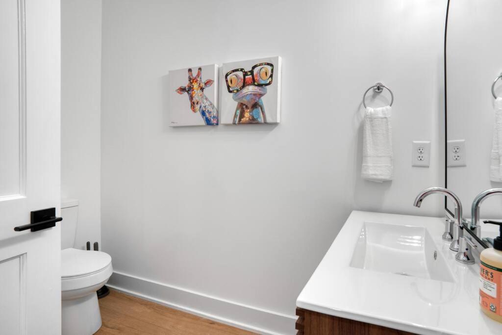 Apartment Spacious 3br Oasis On Grandin Road Charlotte