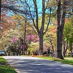 2 Bedroom In Myers Park With Comfortable Screened Porch