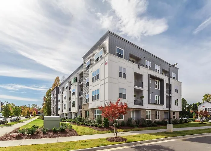 Kasa Freemorewest Charlotte