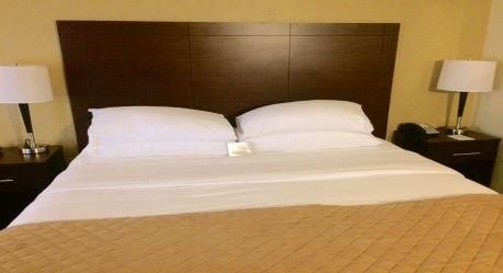 Wyndham Garden Airport Southeast 3*