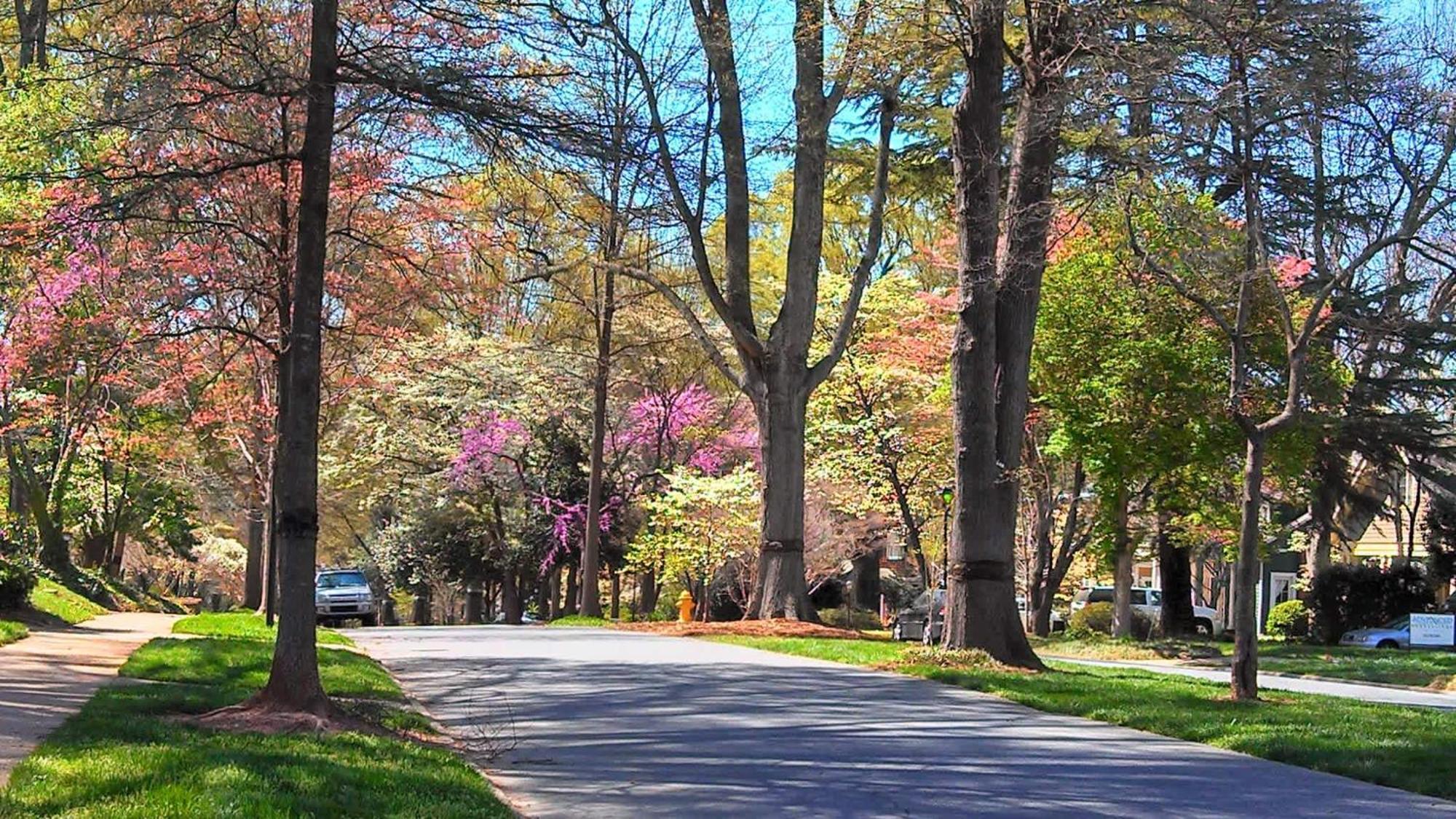 2 Bedroom In Myers Park With Comfortable Screened Porch Holiday home Charlotte