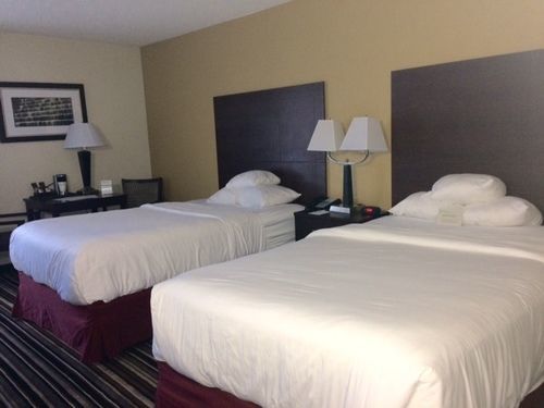 Wyndham Garden Airport Southeast Hotel Charlotte