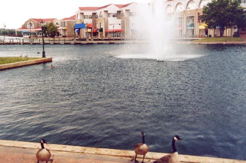 Hotel Country & By Radisson, Place, Nc